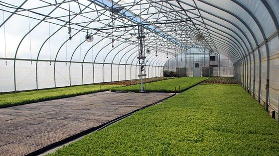 Гальванизированный парник тоннеля парника 3.2m фильма PE железного каркаса высокий