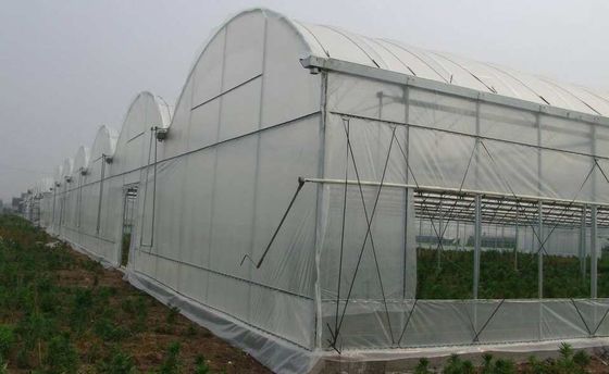 Применимость пяди Muitl парника фильма PE политена сильная 200 микронов