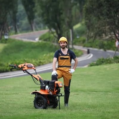 румпель трактора рыхлителя 5.5kw роторной сапки 170F роторный с Toolbox