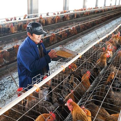 Собака кота штрангпресса еды 150 рыб Kg животная кормит меля оборудование